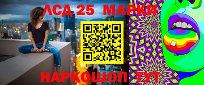 МДПВ Заволжье