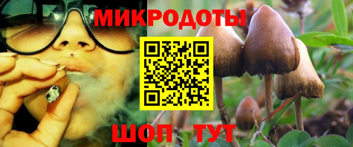 Муравленко  Галлюциногенные грибы мицелий  Вход с VPN 